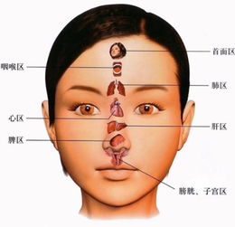 手诊 面诊 眼诊 嘴诊