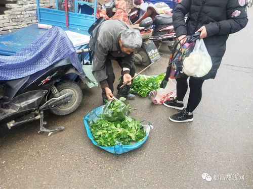 都昌老菜场,居然藏着这么多不为人知的秘密