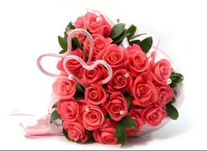 玫瑰花哪种泡茶最好,情人节送的那种玫瑰花可以泡茶喝吗？
