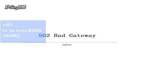 网页502badgateway什么意思