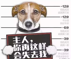 杭州城管棒杀犬只有理,我给出 以法治犬 管理办法