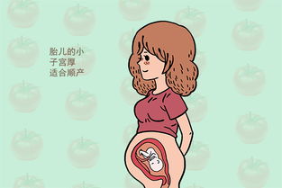 第一胎剖腹产第二胎能顺产吗(第二胎能不能顺产呢)