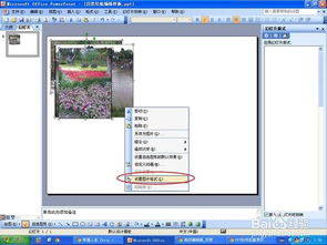 PPT里面的图片如何批量修改大小 