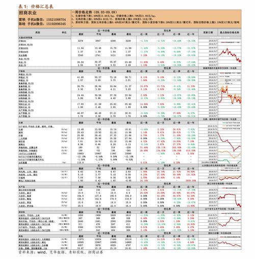 kasparTM吉他价格表,介绍。