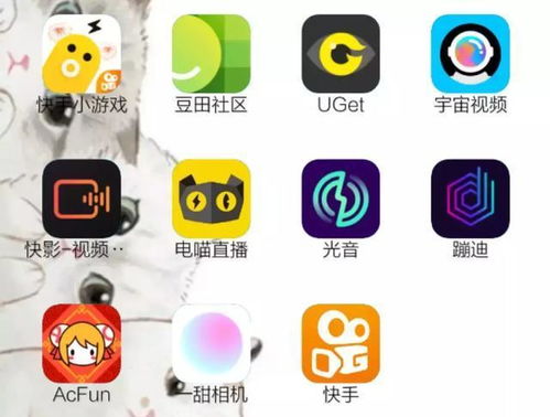 快手家族 成与败 一年10款APP,孵化易,运营难