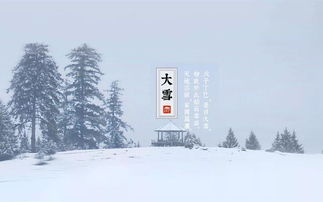 节气 大雪来了 养生专家给力推荐 大雪 养生方 