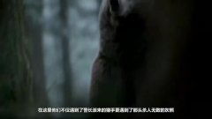 嗜血灰熊超清国语版,棕熊生态系统。