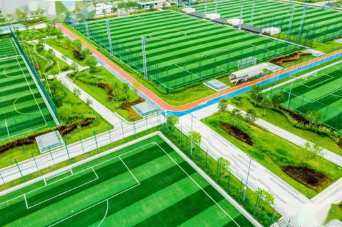 全国首个 福田打造 500米半径公园全覆盖 中心城区