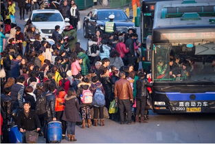 女人梦见市场上人山人海(女人梦见热闹的市场碰见熟人)