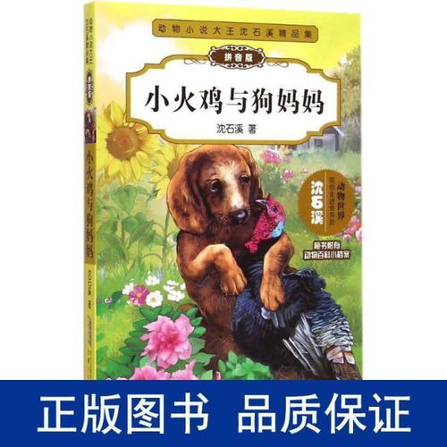 动物小说大王沈石溪精品集 小火鸡与狗妈妈 拼音版