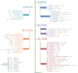 基因检测都包含哪些项目？