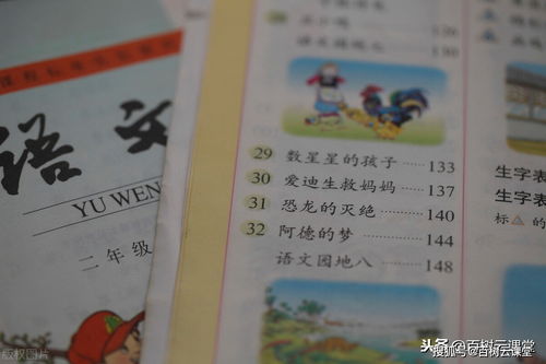 小鸡的励志故事（将母鸡这篇小古文改写成记叙文？）