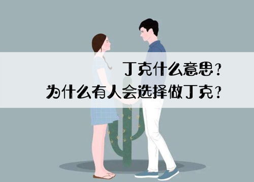 丁克什么意思 晚年的时候是多么的凄凉