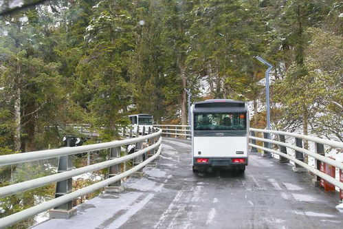 黄龙生态观光车11月1日开通运营,到达五彩池更快捷了