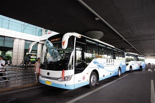 重庆机场大巴路线：一站式解决您的出行难题！