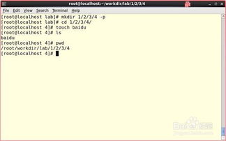 linux根据文件名查找文件,linux查找文件的命令（高手请进）