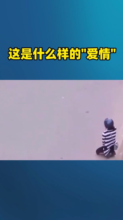 爱情是什么样的