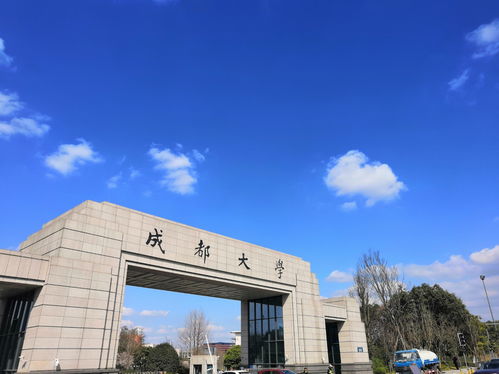 成都大学职业学校有哪些学校