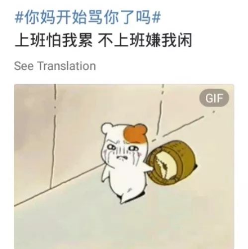 在家抗疫一天被骂三百回 连家里的猫都讨厌我