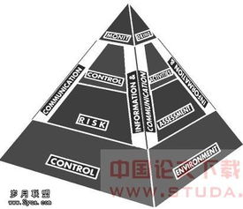 萨班斯法案内部控制流程