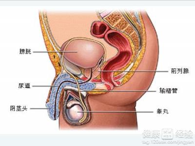 治疗前列腺炎的偏方