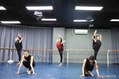 高考舞蹈艺术培训学校：培养舞者与艺术家的摇篮