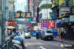 太常见 抖音网友在香港偶遇TVB明星拍戏,正常街头走路没人围观 