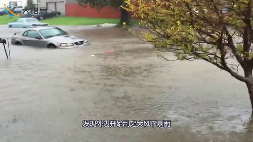 男子在家午休,突然发现外边刮大风下暴雨,几分钟后自己车子报废了 