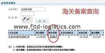 物流企业可以代理报关吗