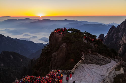 黄山之秋,色彩丰富的油画世界让人深深眷恋 