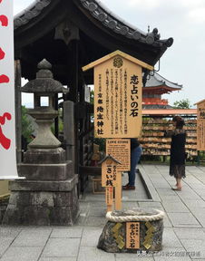 京都之日本神社求姻缘有一套标准动作,否则不灵的