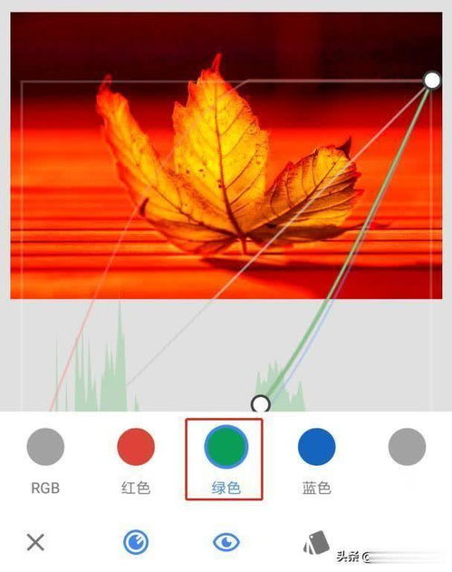 用手机修图软件Snapseed,如何把绿叶子变成红黄紫三种颜色 