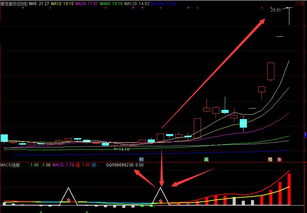 如何在国元证券分时图里设置macd指标