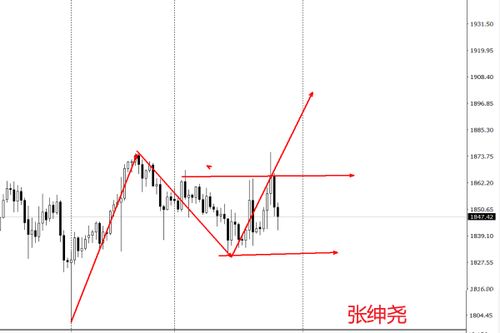 张绅尧 1.31黄金 白银行情推演,下周黄金白银操作建议