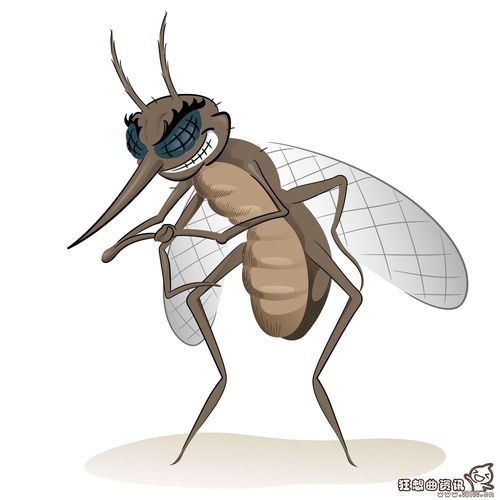 什么血型最招蚊子 夏天到了你是招蚊子的人吗？招蚊子真的和血型有关吗？ 