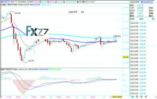 期权费报价中，USD call/JPY put 美元买权日元卖权是什么意思？