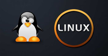 linux用来干嘛,linux系统一般用来干嘛