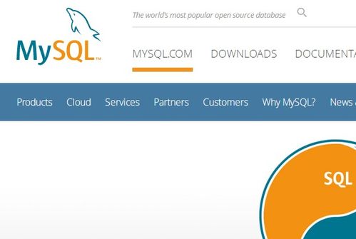 mysql项目,从基础到实战