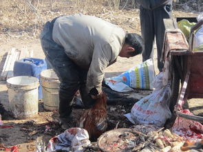 济南章丘埠村年集上,人们排队杀鸡 杀鸡的人忙坏了 
