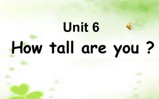 how tall is link,How Tall is Link?1