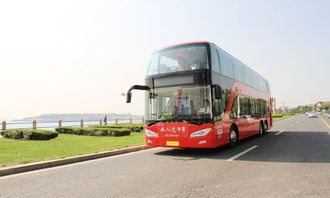 青岛旅游观光巴士,青岛旅游观光巴士：发现青岛之美
