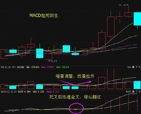 A股哪个股票最好？