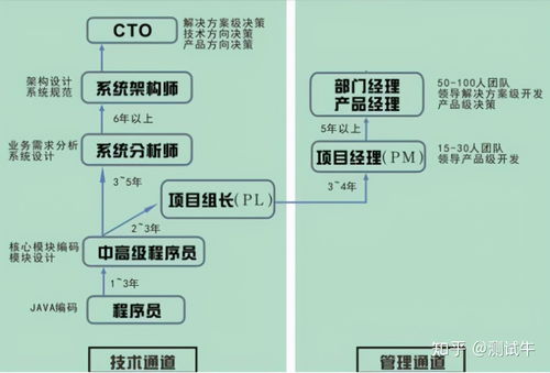 开发 运维 测试,哪个岗位更有前途