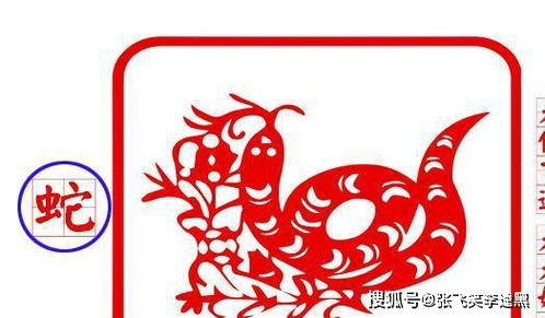 女人是这3大生肖其一, 她老公不是穷人命, 40岁发财不晚