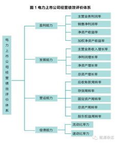 一个上市公司整体运作过程