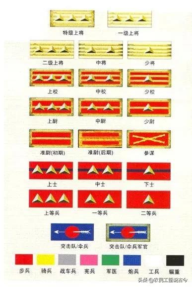 从骑兵上校兵团司令廖耀湘论民国奇特的 双轨军衔制度