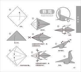 完美图库 儿童折纸资料全书 胡立涛 