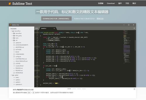  python编程5级,初级水平:入门Pyho编程 元宇宙