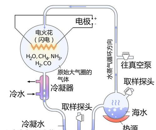 美科学家称这种动物是全人类的祖先 这不是恶心大家么