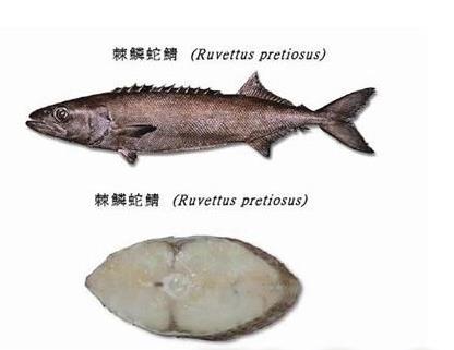 鳕鱼 油鱼，鳕鱼和油鱼怎么区分